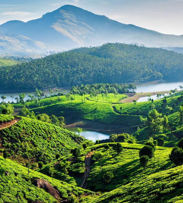 about tourlence holidays tour packages