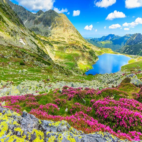 Uttarakhand Tour Package