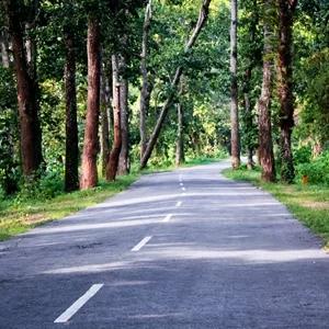 Thumbnail of road surrounded by greenery in Guwahati
