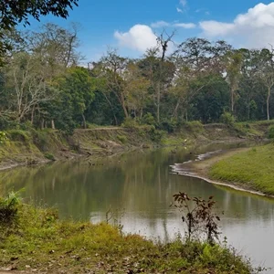 Thumbnail of river in Kaziranga