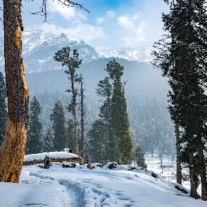 Thumbnail - Snowy valley in Pahalgam