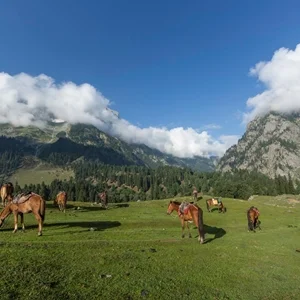 Thumbnail - Horse riding trails in Sonamarg meadows