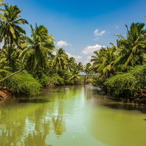 Kanyakumari Sunset Tour