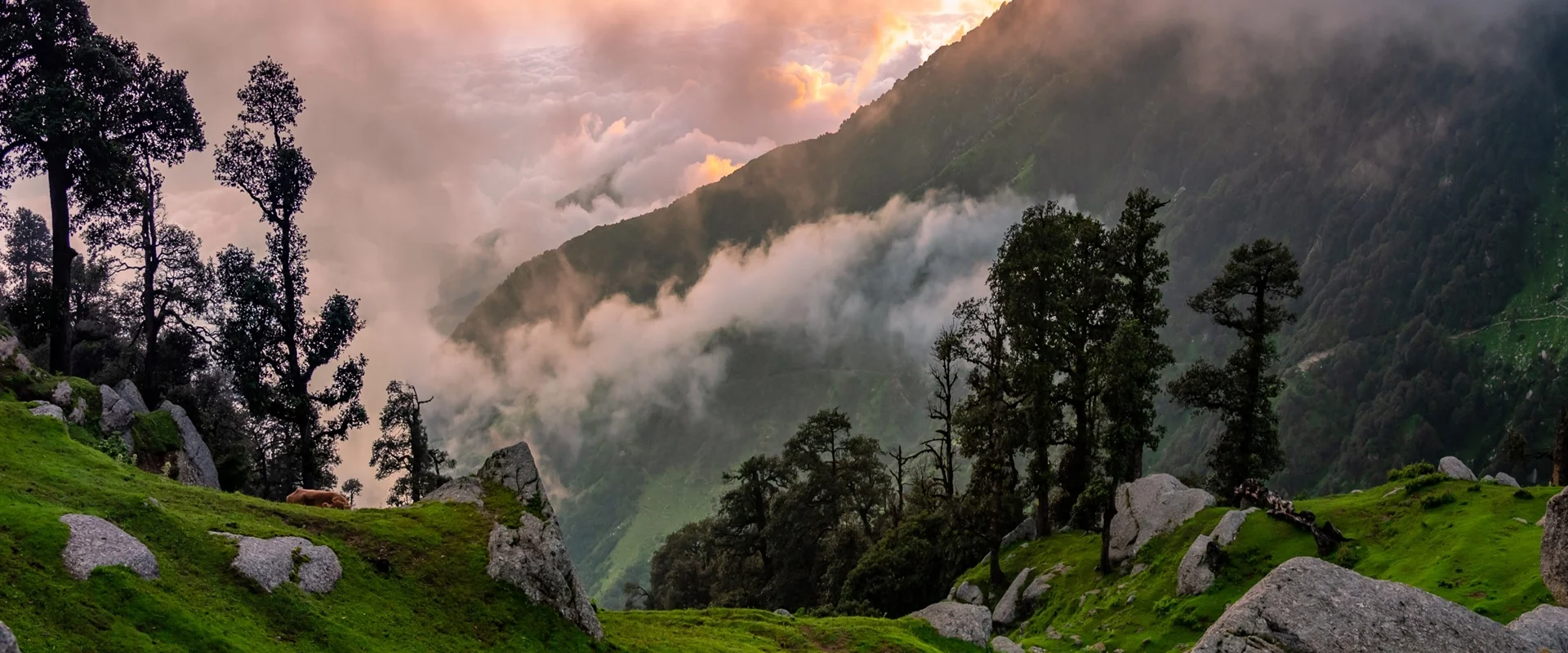 best uttarakhand tour packages for family & group