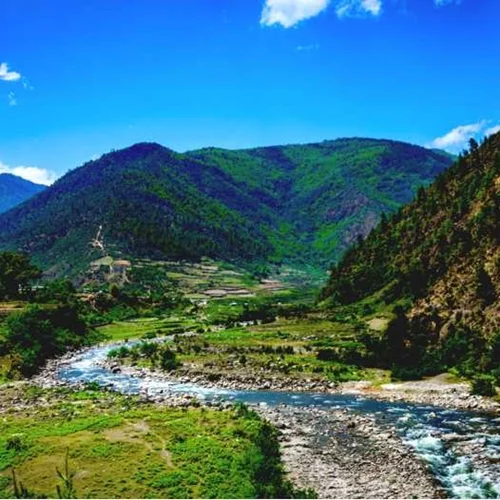 Siliguri Tea Gardens and Mahananda Wildlife