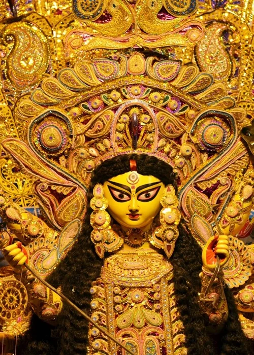 Sundarbans tiger safari packages West Bengal