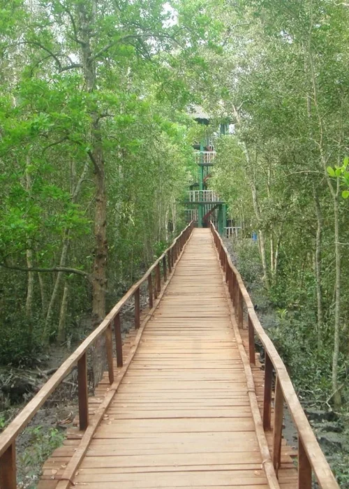 Kolkata heritage sightseeing tour West Bengal