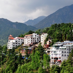 Shimla night package