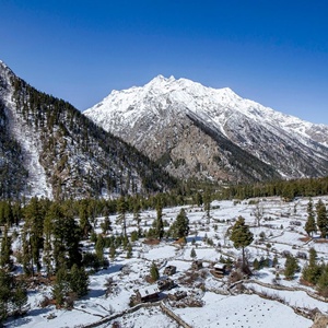 Shimla night package