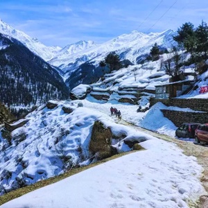 Shimla night package