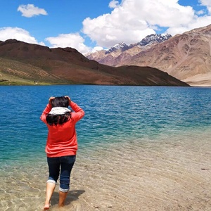 Shimla night package